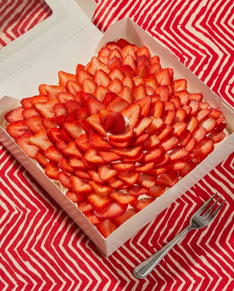 Pavlova by Marian photo 3