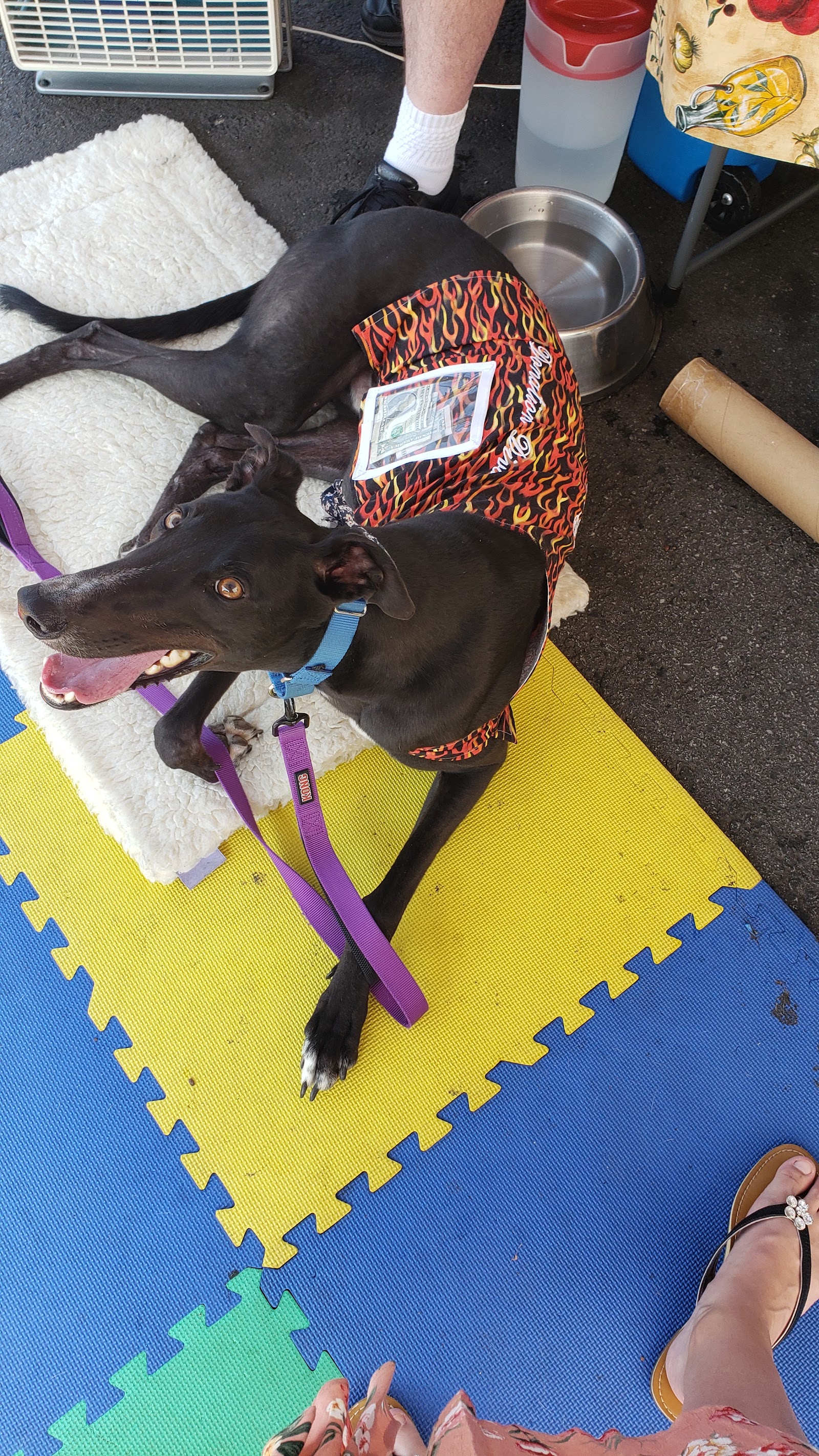Marietta Square Farmers Market photo 6