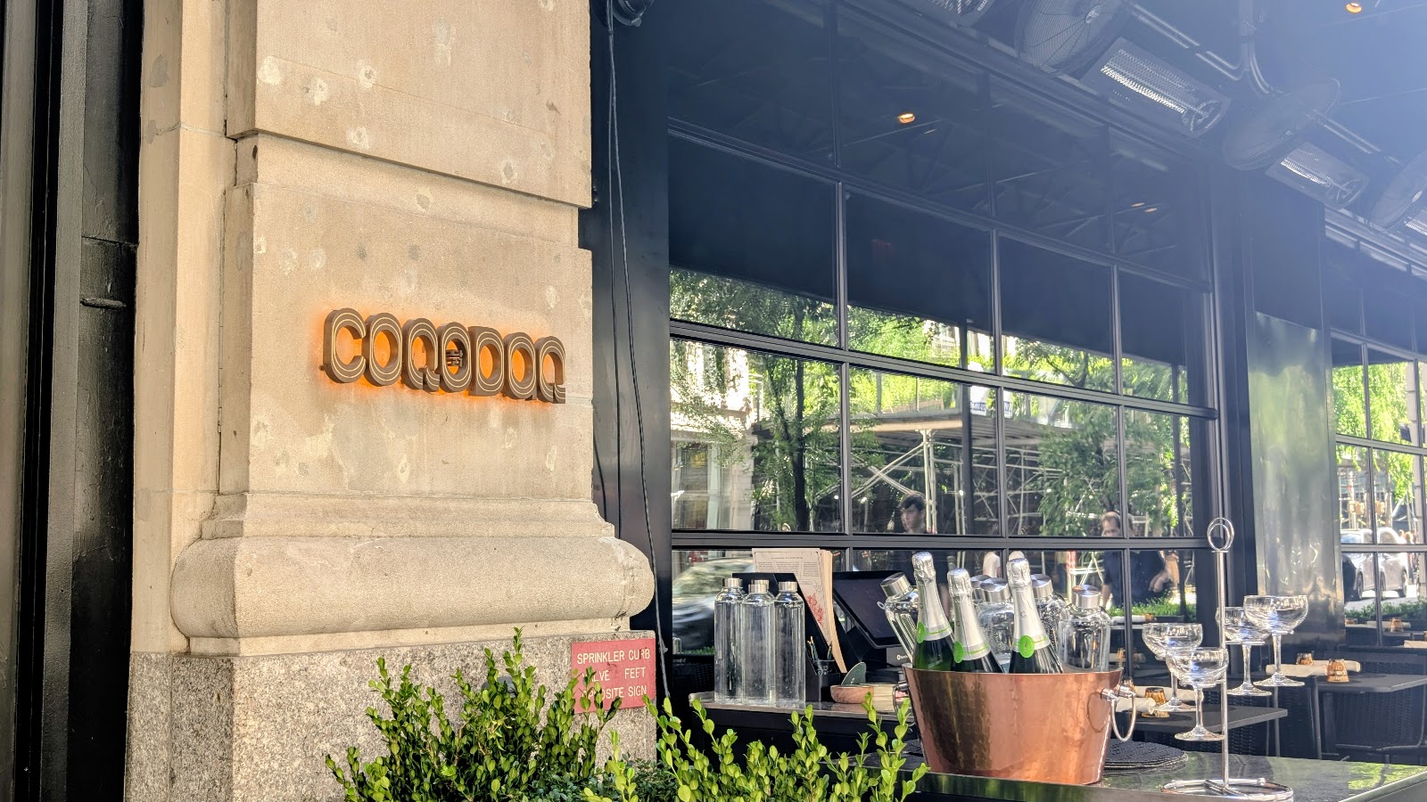 COQODAQ photo 5