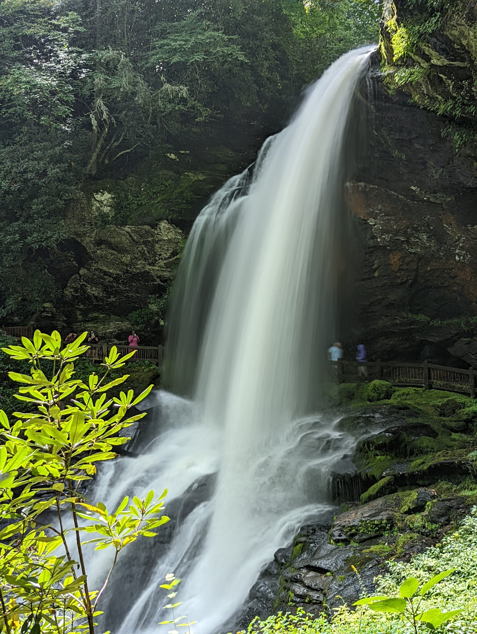Dry Falls photo 6