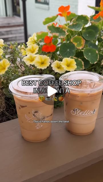 Stellow Coffee & Floral photo 7
